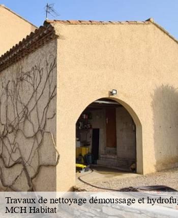 Travaux de nettoyage démoussage et hydrofuge de toiture et façade 71 Saône-et-Loire  MCH Habitat