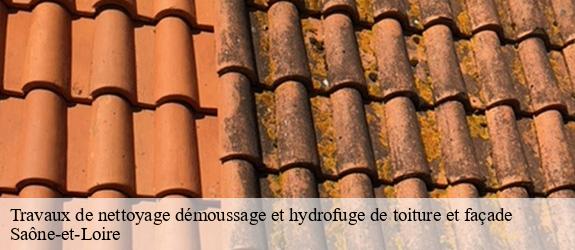 Travaux de nettoyage démoussage et hydrofuge de toiture et façade 71 Saône-et-Loire  Catherin Couverture 71