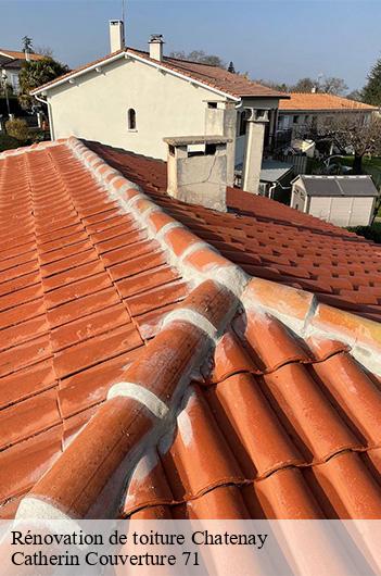 Rénovation de toiture  chatenay-71800 Catherin Couverture 71