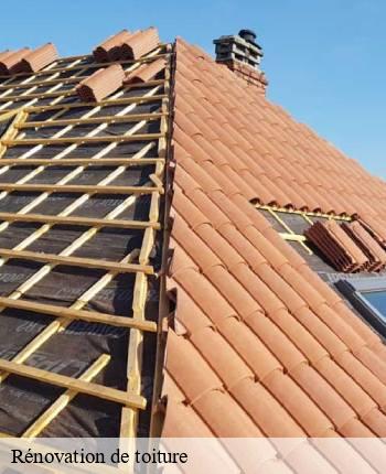 Rénovation de toiture  cherizet-71250 MCH Habitat