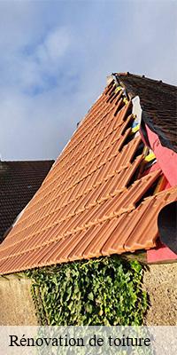 Rénovation de toiture  chissey-en-morvan-71540 Catherin Couverture 71