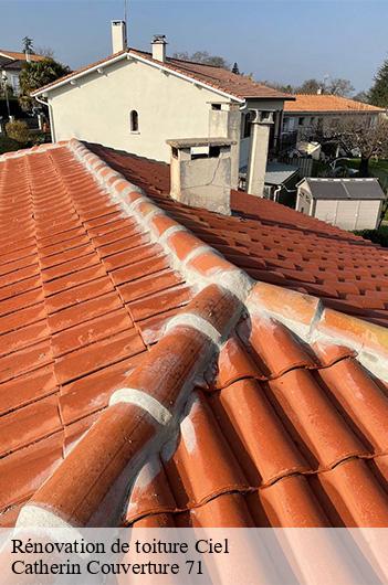 Rénovation de toiture  ciel-71350 Catherin Couverture 71