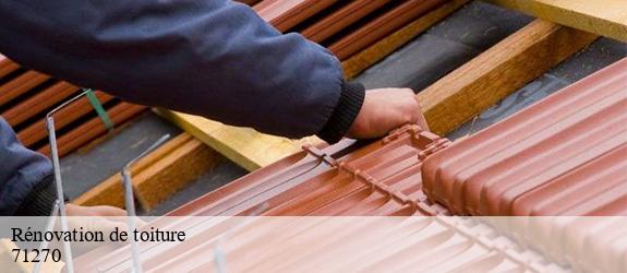 Rénovation de toiture  lays-sur-le-doubs-71270 Catherin Couverture 71