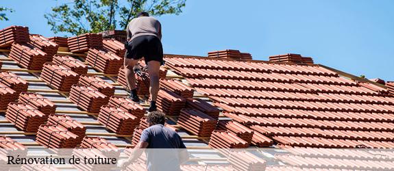 Rénovation de toiture  pouilloux-71230 MCH Habitat