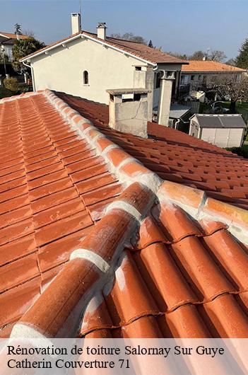 Rénovation de toiture  salornay-sur-guye-71250 Catherin Couverture 71