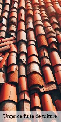 Urgence fuite de toiture  briant-71110 Catherin Couverture 71