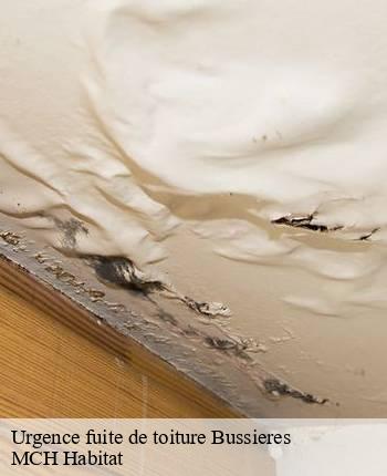 Urgence fuite de toiture  bussieres-71960 MCH Habitat