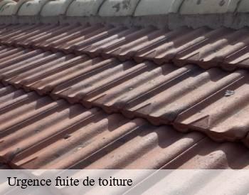 Urgence fuite de toiture  chaintre-71570 MCH Habitat