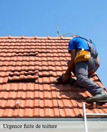 Urgence fuite de toiture colombier-en-brionnais-71800 MCH Habitat