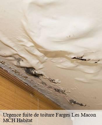 Urgence fuite de toiture farges-les-macon-71700 MCH Habitat