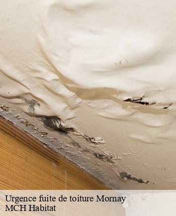 Urgence fuite de toiture mornay-71220 MCH Habitat