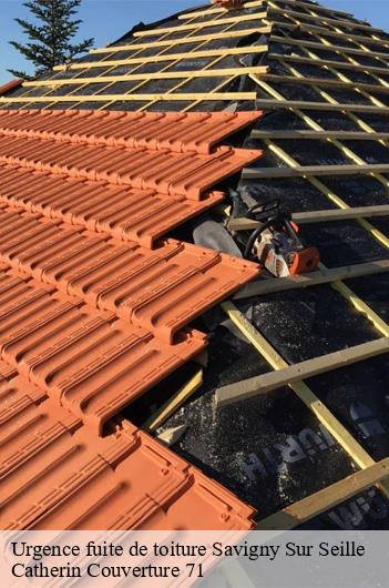 Urgence fuite de toiture  savigny-sur-seille-71440 Catherin Couverture 71
