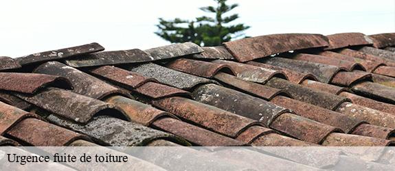 Urgence fuite de toiture  solutre-pouilly-71960 Catherin Couverture 71