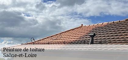 Peinture de toiture MCH Habitat