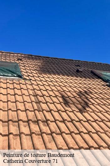 Peinture de toiture  baudemont-71800 Catherin Couverture 71