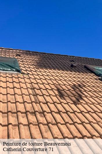 Peinture de toiture  beauvernois-71270 Catherin Couverture 71