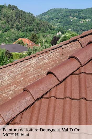 Peinture de toiture  bourgneuf-val-d-or-71640 MCH Habitat