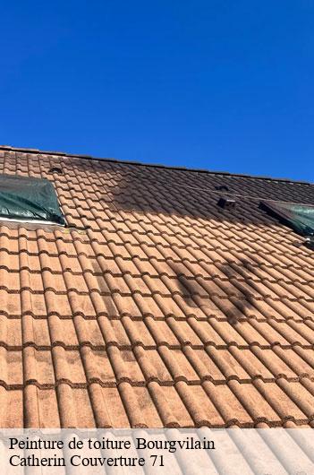 Peinture de toiture bourgvilain-71630 Catherin Couverture 71