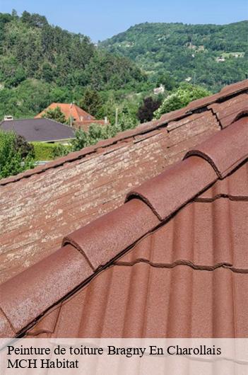 Peinture de toiture bragny-en-charollais-71430 MCH Habitat