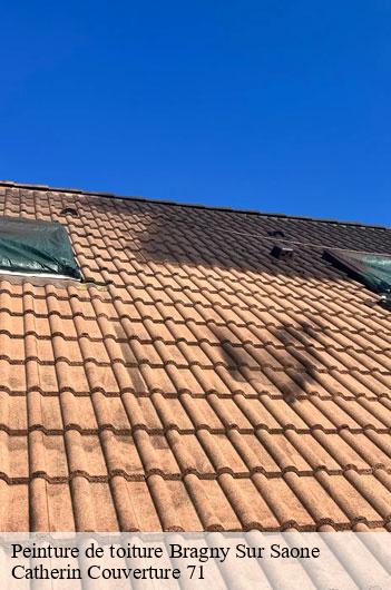 Peinture de toiture  bragny-sur-saone-71350 Catherin Couverture 71
