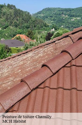 Peinture de toiture  chamilly-71510 MCH Habitat