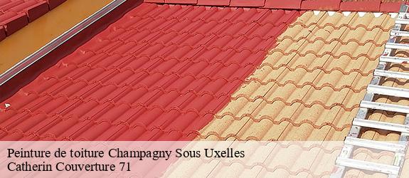 Peinture de toiture  champagny-sous-uxelles-71460 Catherin Couverture 71