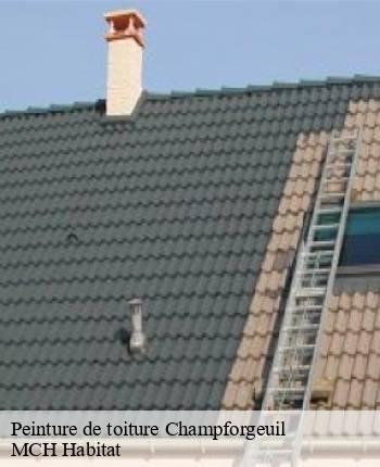 Peinture de toiture champforgeuil-71530 MCH Habitat