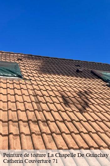 Peinture de toiture  la-chapelle-de-guinchay-71570 Catherin Couverture 71