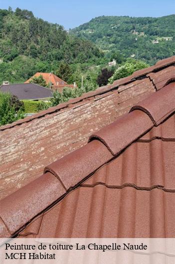 Peinture de toiture  la-chapelle-naude-71500 MCH Habitat