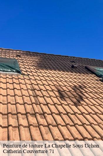 Peinture de toiture  la-chapelle-sous-uchon-71190 Catherin Couverture 71