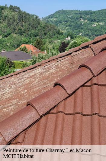 Peinture de toiture  charnay-les-macon-71850 MCH Habitat