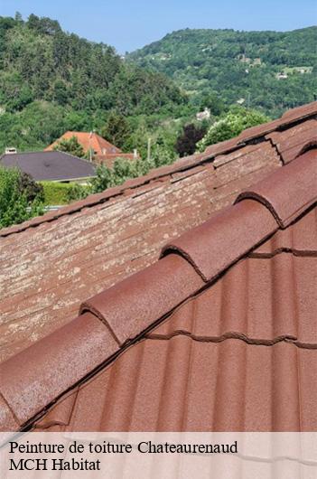 Peinture de toiture chateaurenaud-71500 MCH Habitat