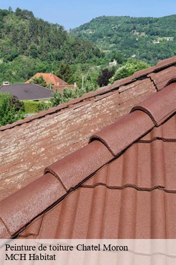 Peinture de toiture chatel-moron-71510 MCH Habitat
