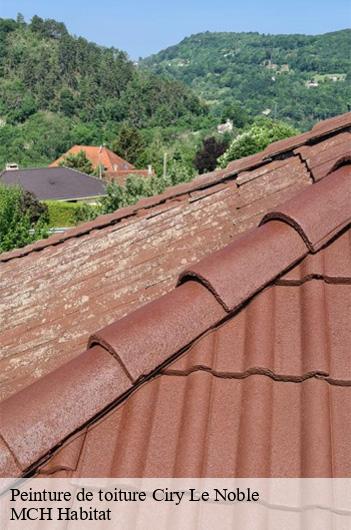 Peinture de toiture ciry-le-noble-71420 MCH Habitat