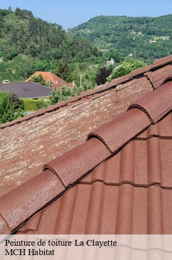 Peinture de toiture la-clayette-71800 MCH Habitat