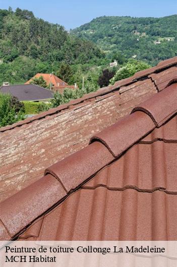 Peinture de toiture  collonge-la-madeleine-71360 MCH Habitat