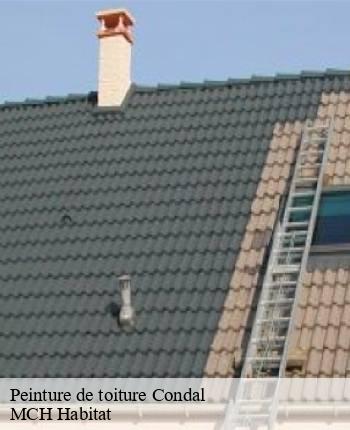 Peinture de toiture  condal-71480 MCH Habitat