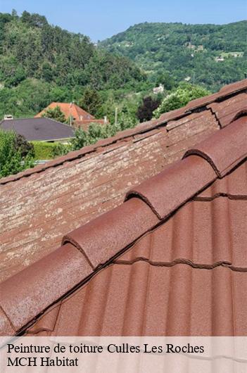 Peinture de toiture culles-les-roches-71460 MCH Habitat