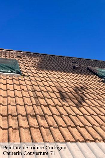 Peinture de toiture  curbigny-71800 Catherin Couverture 71