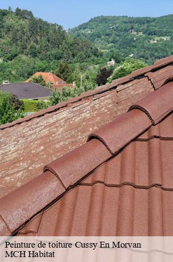 Peinture de toiture  cussy-en-morvan-71550 MCH Habitat