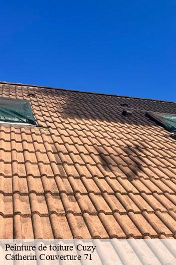Peinture de toiture  cuzy-71320 Catherin Couverture 71