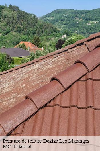 Peinture de toiture dezize-les-maranges-71150 MCH Habitat