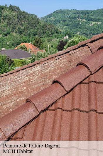 Peinture de toiture  digoin-71160 MCH Habitat