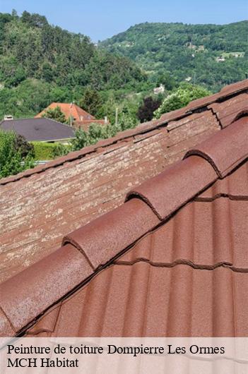 Peinture de toiture  dompierre-les-ormes-71520 MCH Habitat
