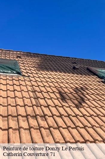 Peinture de toiture  donzy-le-pertuis-71250 Catherin Couverture 71