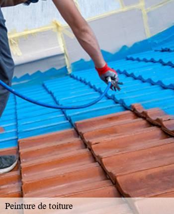 Peinture de toiture  dyo-71610 MCH Habitat