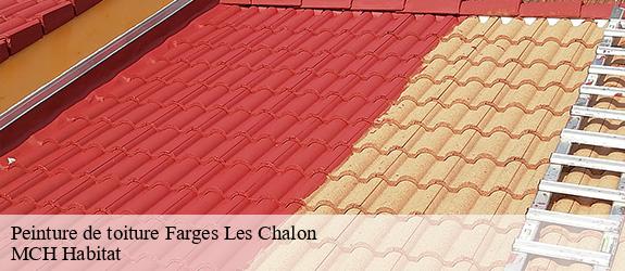 Peinture de toiture farges-les-chalon-71150 MCH Habitat
