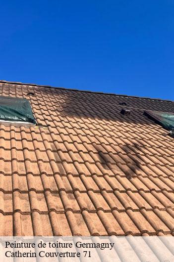 Peinture de toiture  germagny-71460 Catherin Couverture 71