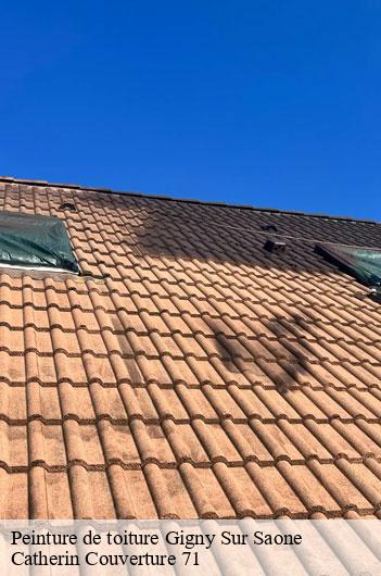 Peinture de toiture  gigny-sur-saone-71240 Catherin Couverture 71