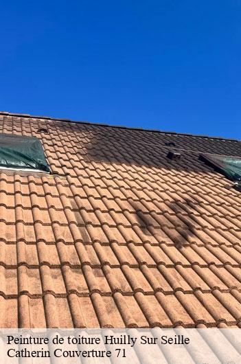 Peinture de toiture  huilly-sur-seille-71290 Catherin Couverture 71